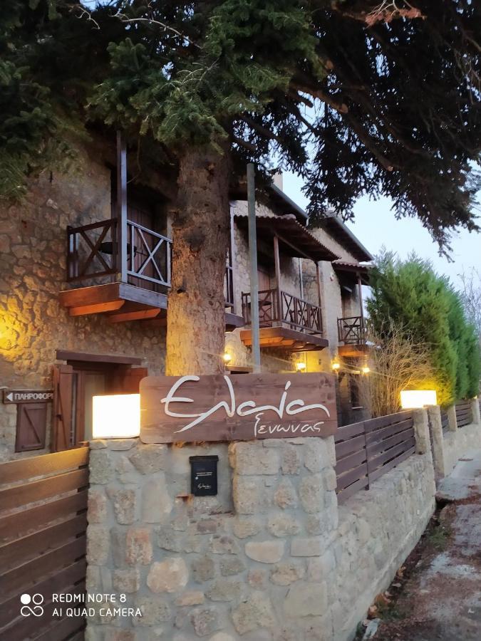Guesthouse Elaia 塞尼梅西奇卡罗 外观 照片