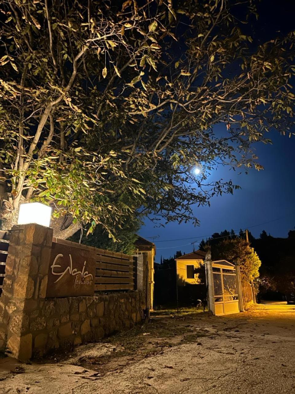 Guesthouse Elaia 塞尼梅西奇卡罗 外观 照片